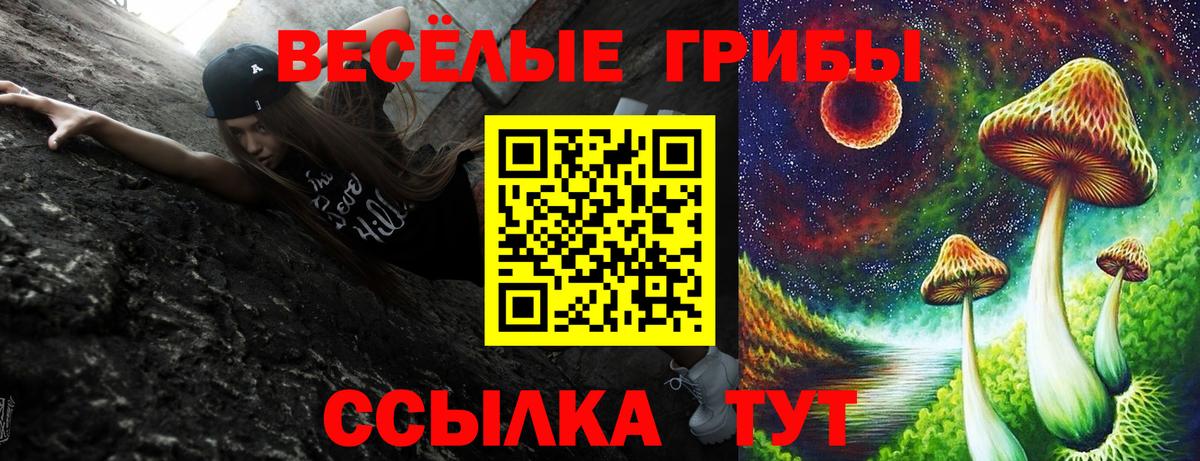 Галлюциногенные грибы Psilocybine cubensis Шатура