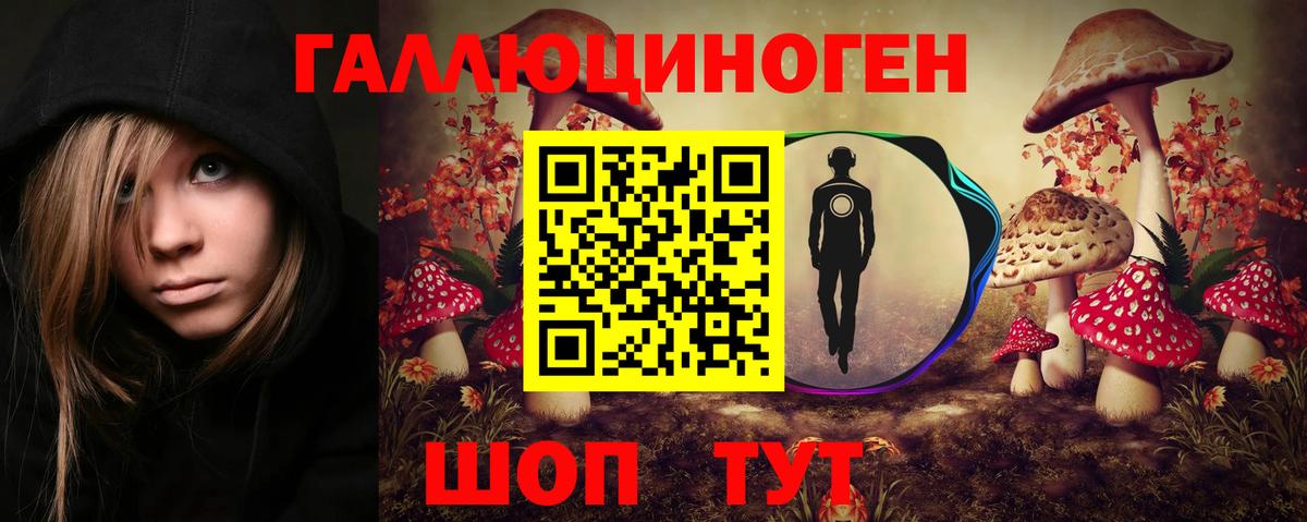 Галлюциногенные грибы Psilocybe  Вход с VPN  Галлюциногенные грибы мицелий  Шатура 